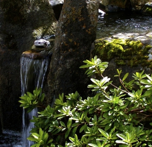 20Mar03_097.jpg